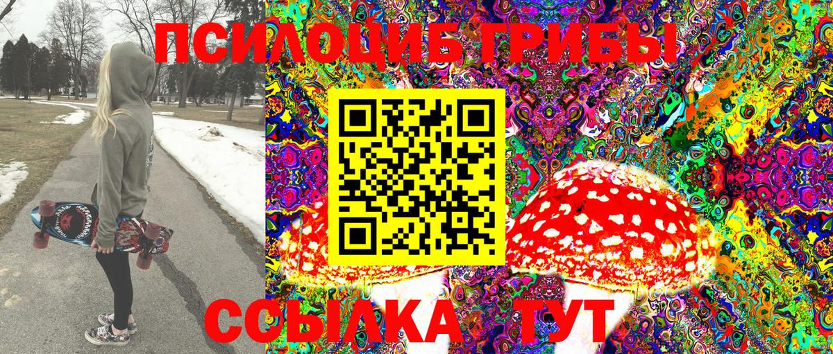 Галлюциногенные грибы Psilocybine cubensis Ликино-Дулёво